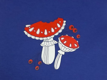 Печать на ткани 2